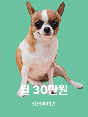 상생 취미반 월 30만원